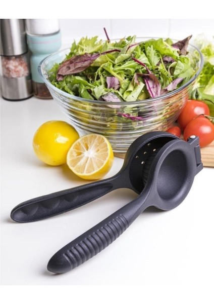 Limon Sıkacağı Döküm