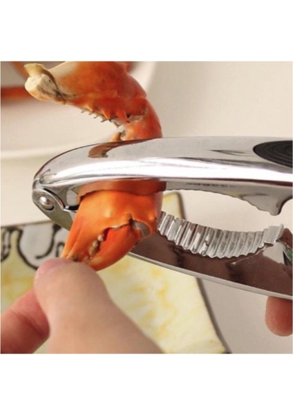 Fındık Kıracağı Nikelaj Kaplama, Ceviz Kıracağı modelleri