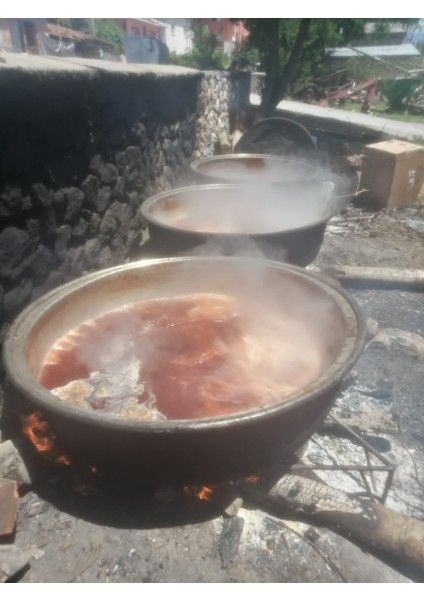 Yeşilköy Köy Ürünleri Çam Kozalağı Pekmezi 500 gr