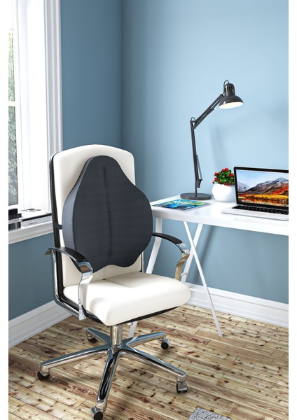 Visco Bel ve Sırt Destek Minderi, Ortopedik ve Dik Duruş Sağlayan Rahatlık