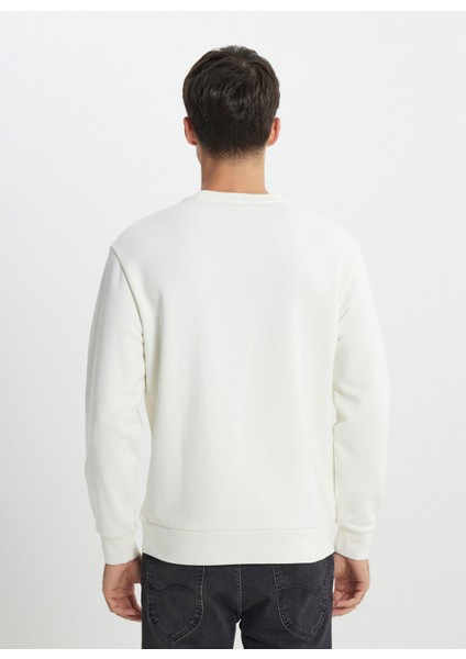 Bisiklet Yaka Ekru Erkek Sweatshırt L242503104 Ekru Sweatshirt