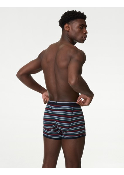 5'li Cool & Fresh: Trunk Seti