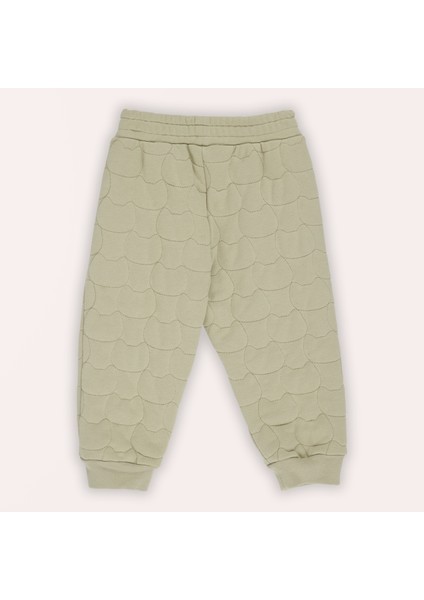 Erkek Bebek Kedi Yeşil Eşofman Alt fiyatları