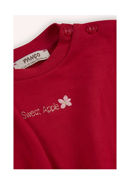 Kız Bebek Nakış Detaylı Kırmızı Sweatshirt modelleri