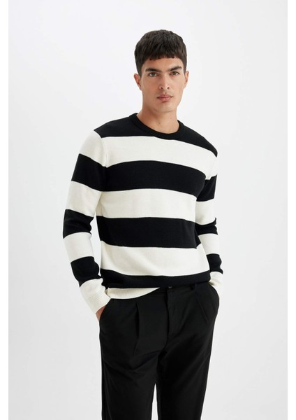 Standart Fit Normal Kesim Bisiklet Yaka Çizgili Triko Kazak D1968AX24AU modelleri