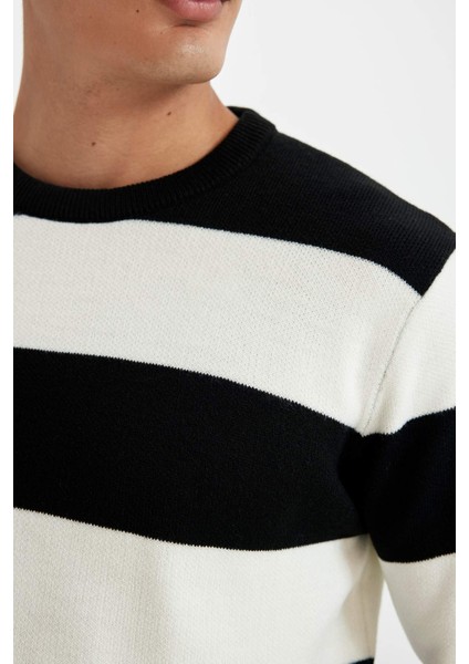 Standart Fit Normal Kesim Bisiklet Yaka Çizgili Triko Kazak D1968AX24AU indirimleri