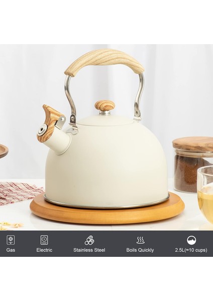 2.5l Düdük Çaydanlık, Kaymaz Saplı Ocak Için Retro Çaydanlık, Kamp Ev Mutfak Için Uygun (Yurt Dışından) fiyatları