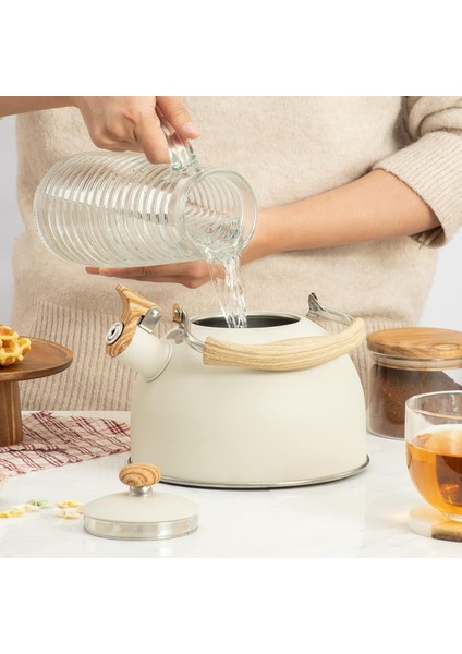 2.5l Düdük Çaydanlık, Kaymaz Saplı Ocak Için Retro Çaydanlık, Kamp Ev Mutfak Için Uygun (Yurt Dışından) modelleri