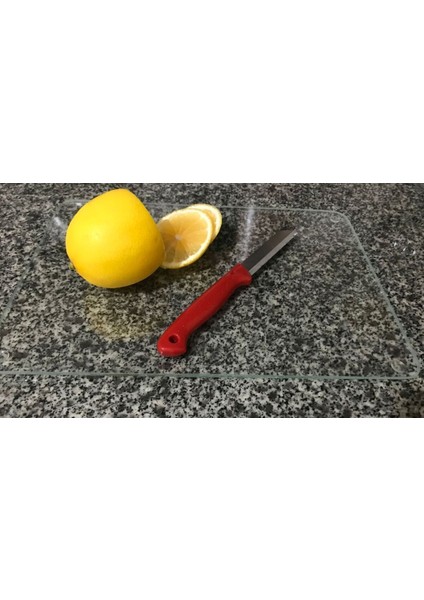 1 Parça Saydam | Cam Kesme Tahtası - Cam Sunumluk ve Servis Tahtası | 20 x 30 cm Cam Gri fiyatları