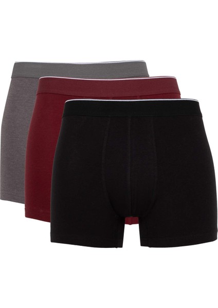 Regular Fit 3'lü Boxer C9550AX24AU