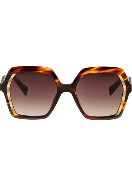 Hm 1536 C2 Havana Kadın Güneş Gözlüğü fiyatları