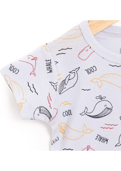 Erkek Kısa Kol Body Erkek Bebek fiyatları