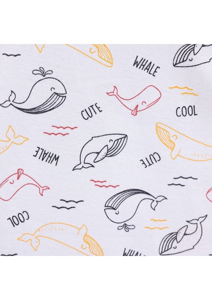 Erkek Kısa Kol Body Erkek Bebek modelleri