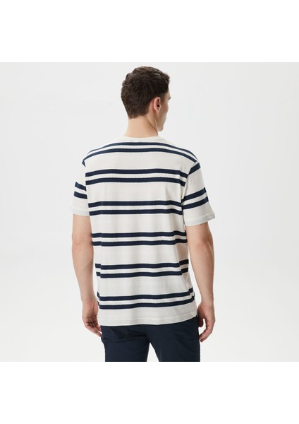 Erkek Beyaz Standart Fit Kısa Kollu Çizgili T-Shirt V45245T.1MA fiyatları