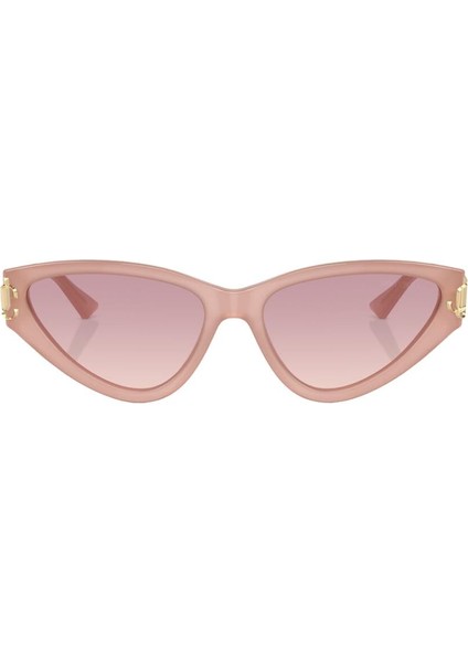 Jımmy Choo 5019 502768 55-16 Kadın Güneş Gözlüğü fiyatları