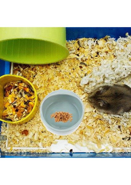 1 Adet Çok Amaçlı Hamster Gine Domuzu Su Kasesi Besleme Tabağı Küçük Hayvan Besleyici (Yurt Dışından)