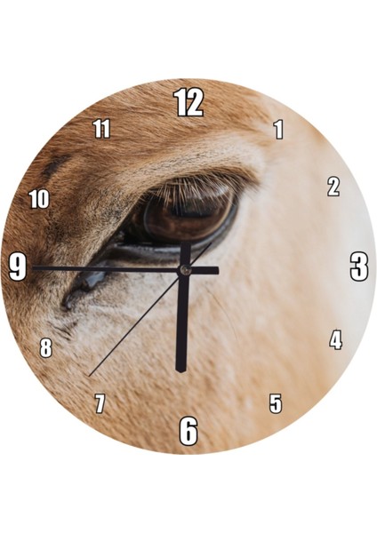 Dekoratif Duvar Saati