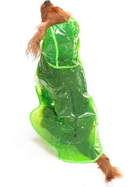 Otso Köpek Yağmurluk - Yeşil fırsatları