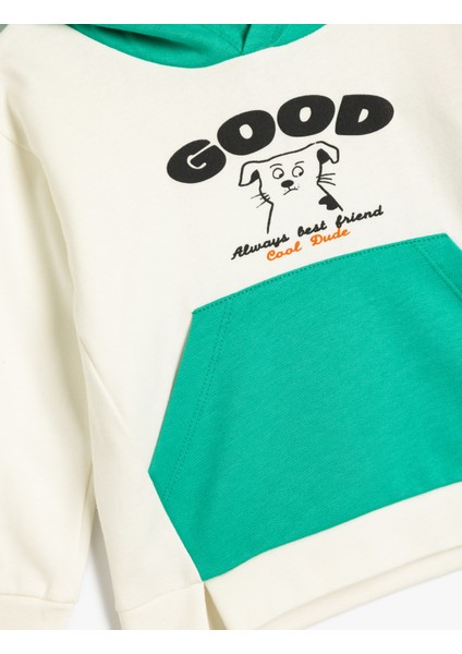 Kapşonlu Sweat Baskılı Kanguru Cepli Renk Bloklu Pamuklu modelleri