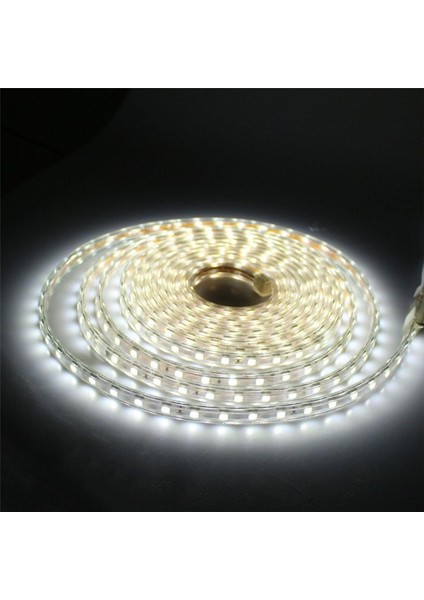 5050 220V Hortum LED Beyaz 100 Metre