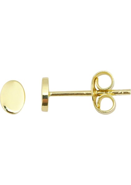 14 Ayar Altın Minimalist Oval Küpe 95362
