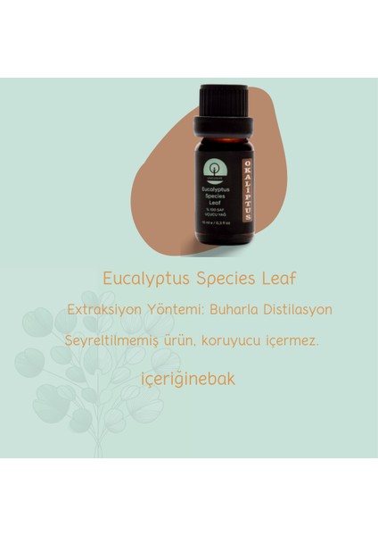 % 100 Doğal Saf Okaliptus Yağı. (Seyreltilmemiş) 10 ml