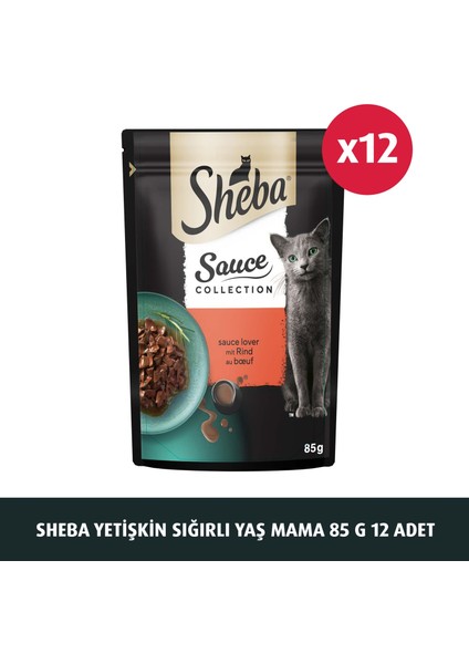 Yetişkin Sığırlı Yaş Mama 85 G 12x