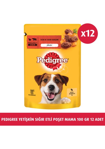 Biftekli Poşet Yaş Mama 100 G 12x