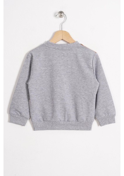 Tilki ve Ayı Figurlu Bisiklet Yaka Gri Melanj Renk Erkek Çocuk Sweatshırt modelleri