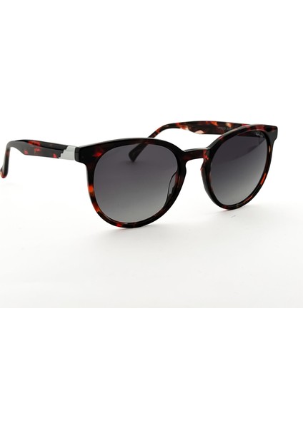 Sz 6700 03 Kadın Güneş Gözlüğü