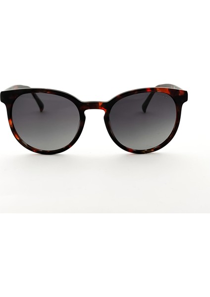 Sz 6700 03 Kadın Güneş Gözlüğü fiyatları