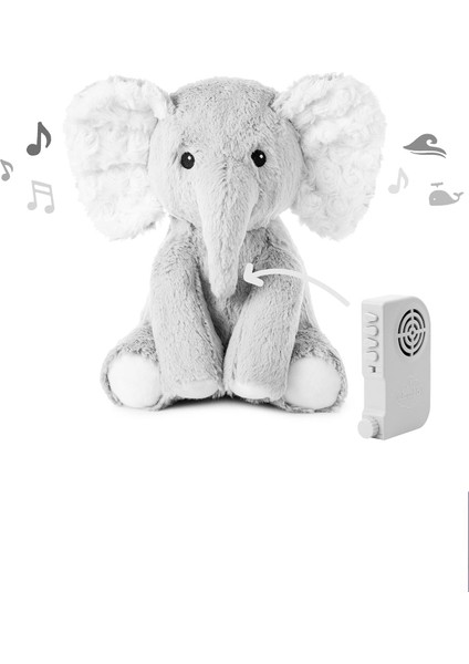 Elliot L'eléphant