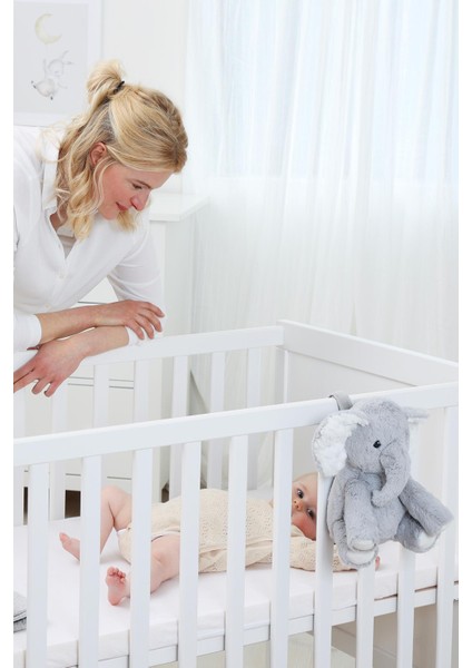 Elliot L'eléphant
