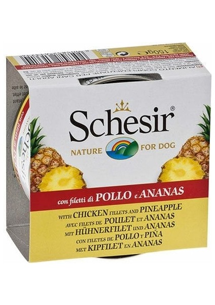 Schesir Tavuk Filetolu ve Ananaslı Yetişkin Köpek Konservesi 150 gr
