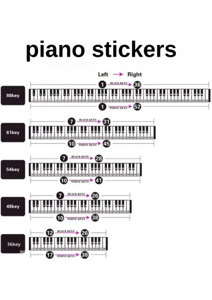 Piyano Org Klavye Tuşları Için Nota Etiketi  37-49-54-61-88 Tuşlara Uygun