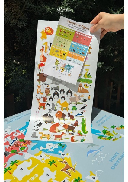 Renkli ve eğlenceli hayvan temalı duvar sticker, çocuk odası için eğitici dekor modelleri