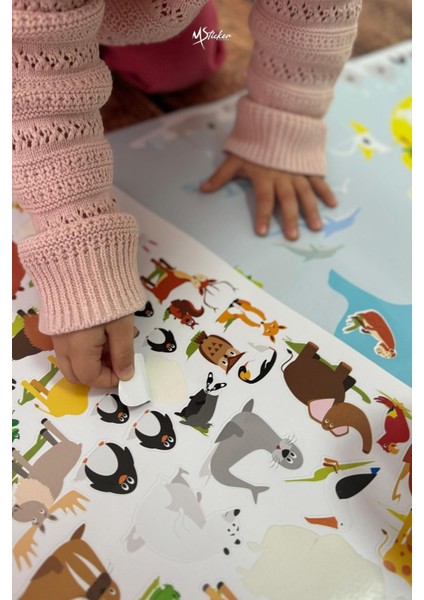 Renkli ve eğlenceli hayvan temalı duvar sticker, çocuk odası için eğitici dekor indirimleri