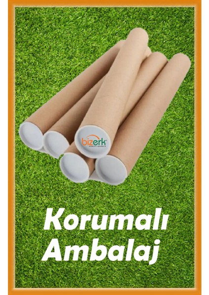 Renkli Balıklar Temalı Çocuk/Bebek Odası Cam Duşakabin Sticker, 1 Parça indirimleri