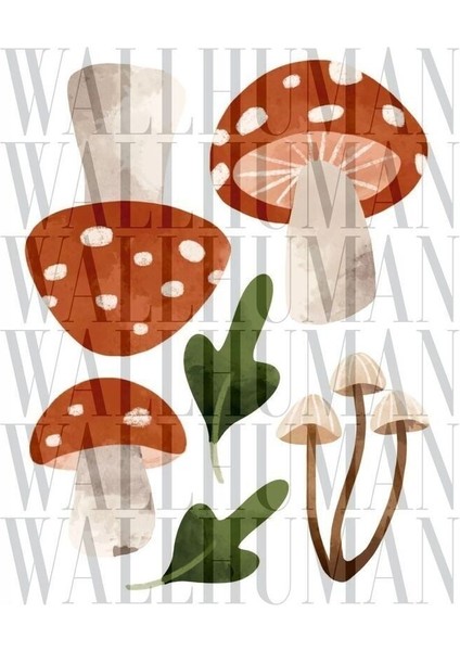 Çocuk Odası Renkli Kırmızı Mantar Dekor Parça Sayısı: 1 fırsatları