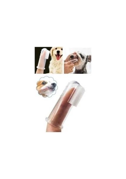 Kedi Köpek Diş Temizleme Fırçası
