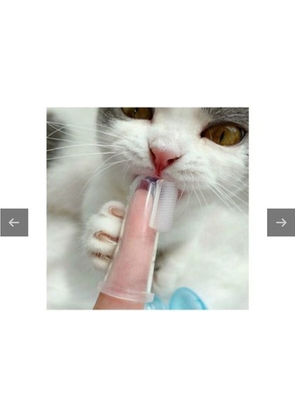 Kedi Köpek Diş Temizleme Fırçası