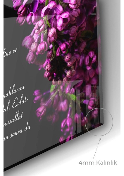 Premium Mutfak Cam Ocak Arkası Koruyucu | Bereket Sofra karınca Duası fiyatları