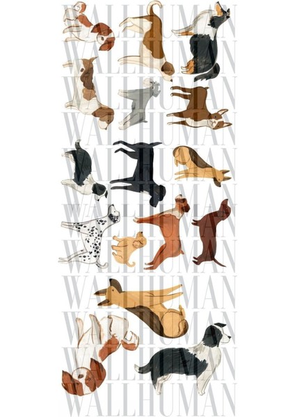 Renkli Çocuk Odası Duvar Stickerı, Sevimli ve Eğlenceli Dekorasyon Fikirleri fiyatları