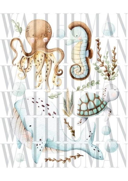 Renkli Deniz Canlıları Çocuk Odası Duvar Stickerı, Eğlenceli Dekorasyon fiyatları