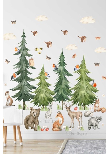 Doğa Temalı Çocuk Odası Duvar Sticker Seti, Renkli, Eğlenceli, 5+ Parça