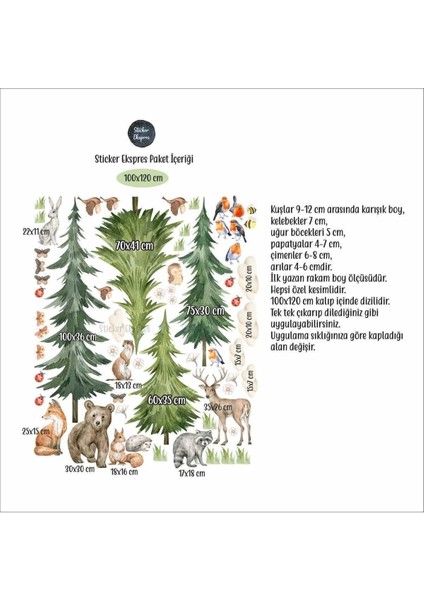 Doğa Temalı Çocuk Odası Duvar Sticker Seti, Renkli, Eğlenceli, 5+ Parça modelleri