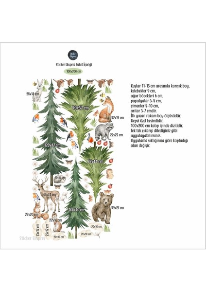 Doğa Temalı Çocuk Odası Duvar Sticker Seti, Renkli, Eğlenceli, 5+ Parça fırsatları