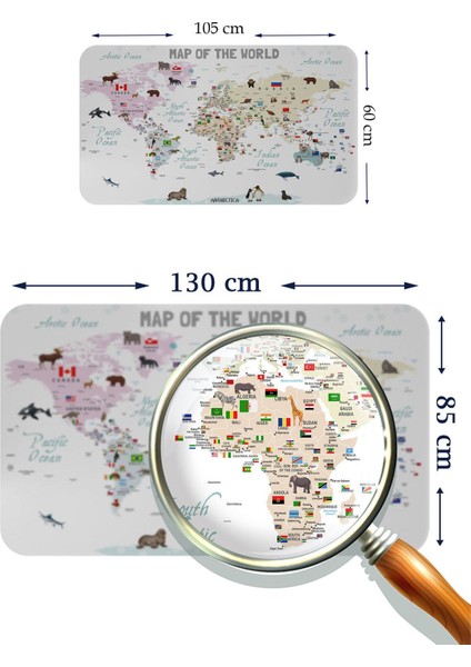 Renkli Dünya ve Türkiye Haritası Öğretici Duvar Sticker, Çocuklar İçin Eğlenceli Dekorasyon modelleri