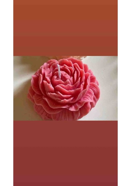 4'lü Pembe Şakayık Mum