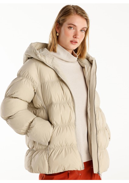 Şerit Detaylı Mont fiyatları